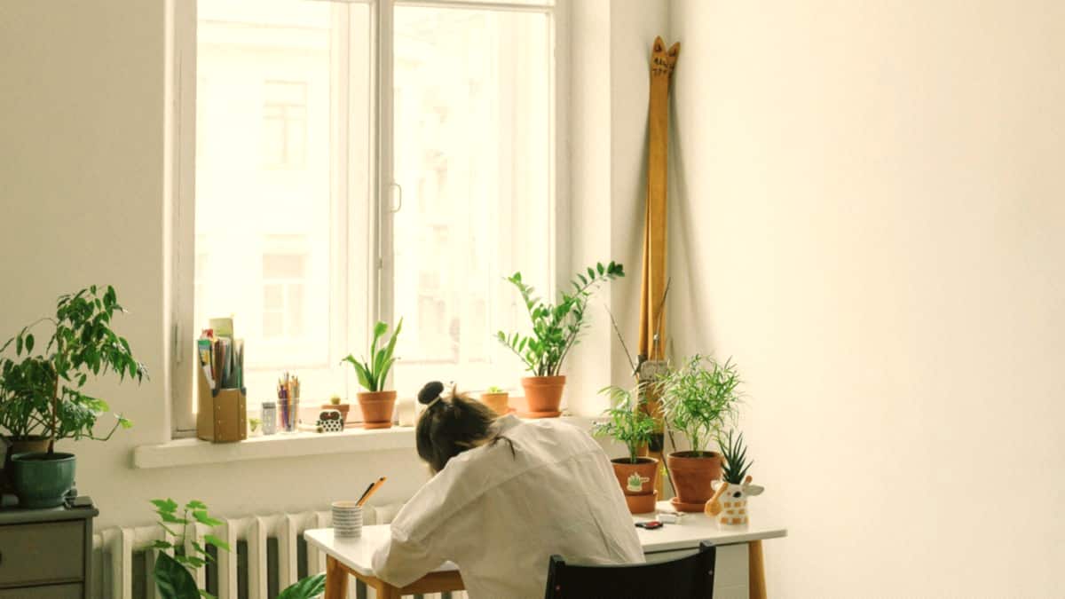 A person studies at a small desk by a bright window, seen from behind among indoor plants.